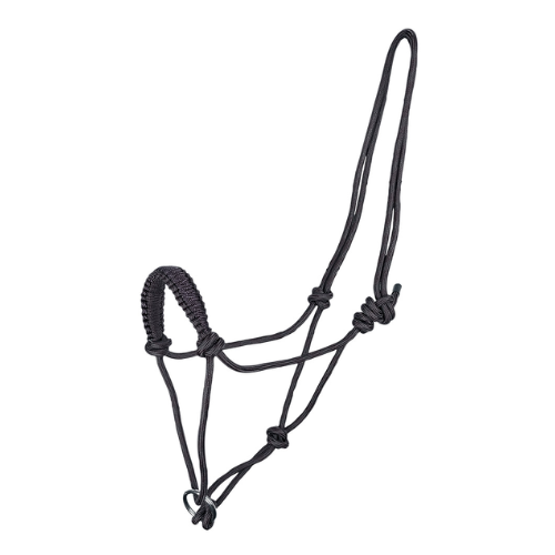 Rope Halter with Ring