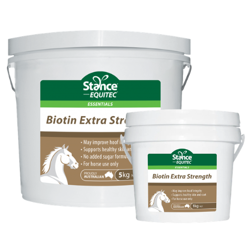 Stance Equitec Biotin Extra Strength
