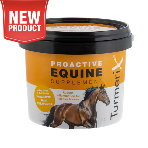 TurmeriX Proactive Equine Supplement 1kg - Natural Turmeric for Horses