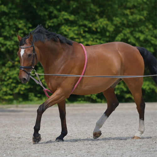 Waldhausen Lunging Aid BLACK