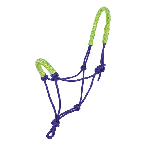 Knotted Halter with Padded Nose - Lime and Purple