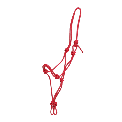 Knotted Rope Halter - Red