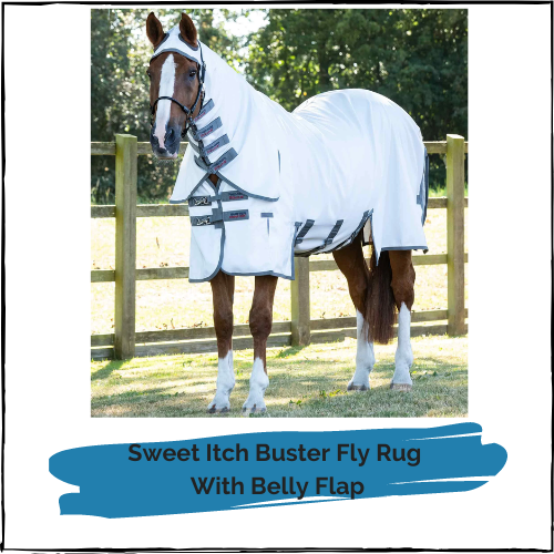 Sweet Itch Buster Fly Rug with Belly Flap